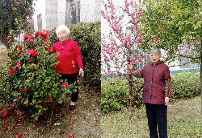 海福祥長(zhǎng)者生活錄|與春天撞了個(gè)滿(mǎn)懷
